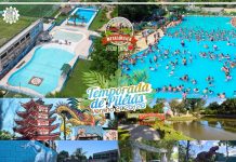 Apertura de Temporada en el Predio de la Familia Metalúrgica